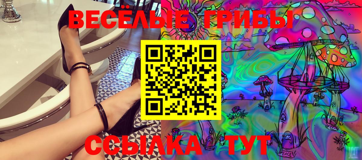 Псилоцибиновые грибы Psilocybine cubensis Алейск