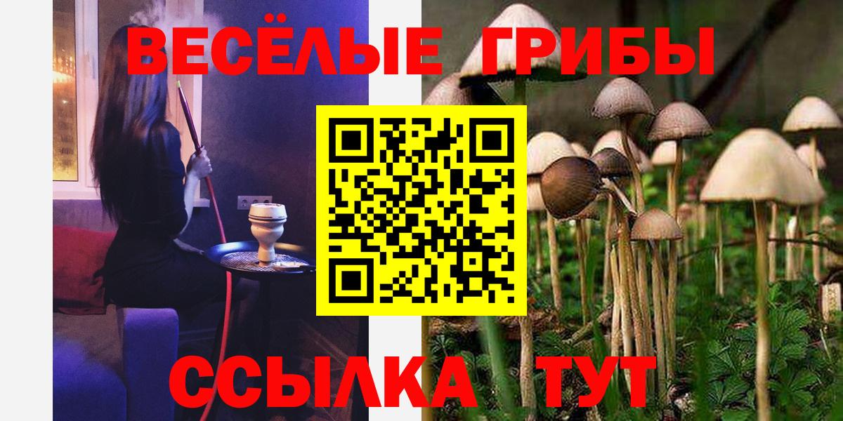 Алейск  Псилоцибиновые грибы прущие грибы  Вход с VPN  Псилоцибиновые грибы Cubensis 